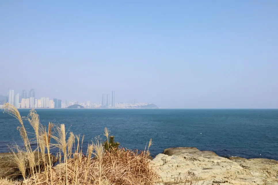 2%EC%9B%9426%EC%9D%BC_(93).JPG?type=w966