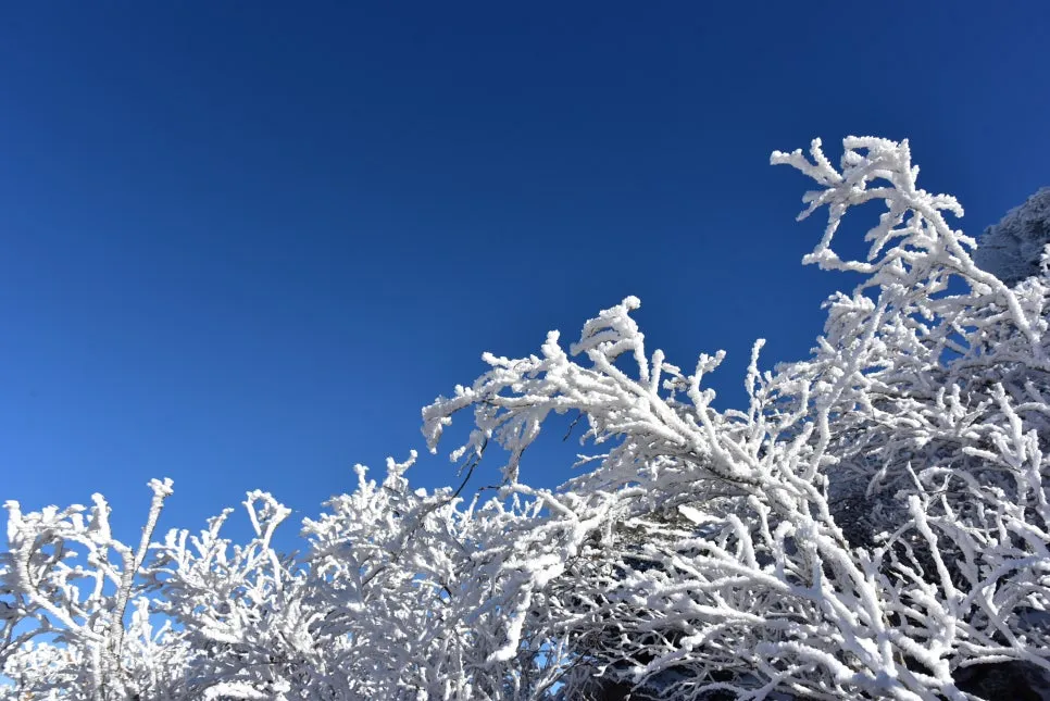 11%EC%9B%9426%EC%9D%BC_(120).JPG?type=w966