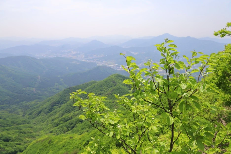 5%EC%9B%9410%EC%9D%BC_(134).JPG?type=w1