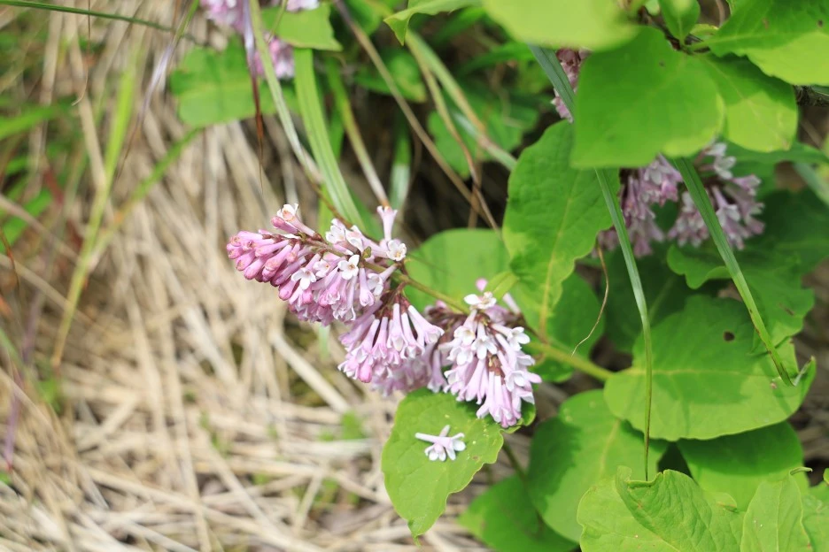 6%EC%9B%9414%EC%9D%BC_(177).JPG?type=w1