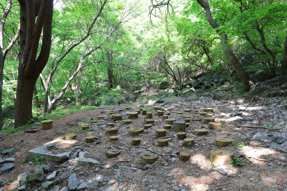 5%EC%9B%9410%EC%9D%BC_(178).JPG?type=w1