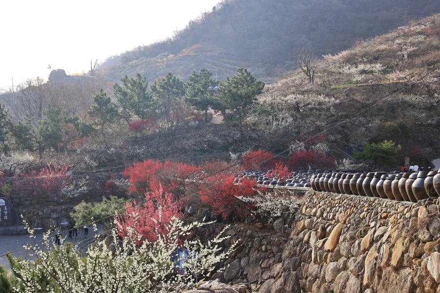 SE-ac073d78-b2f3-4ac0-b0b8-2cebaa4a199a.jpg?type=w1