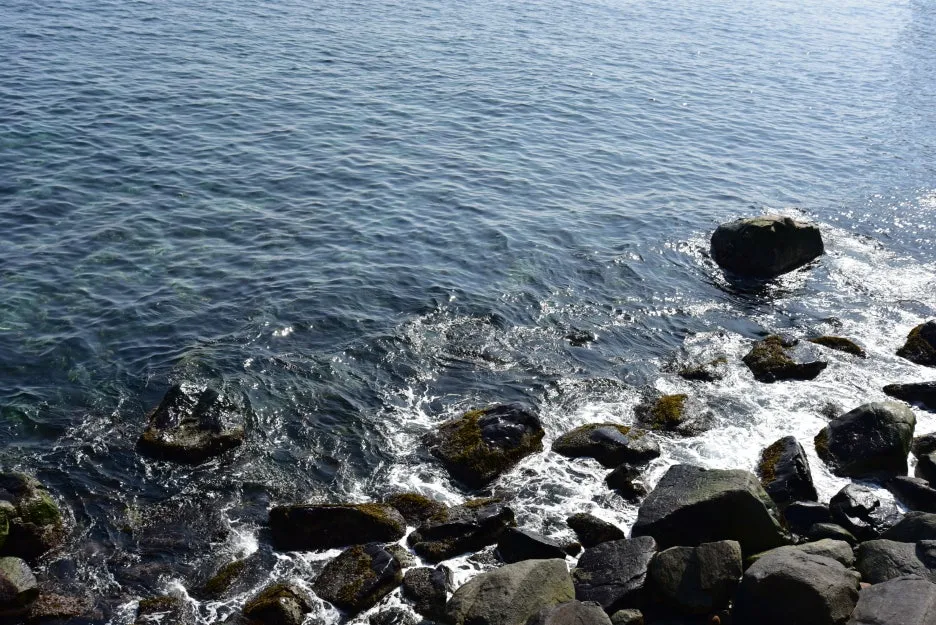 3%EC%9B%9411%EC%9D%BC_(7).JPG?type=w1