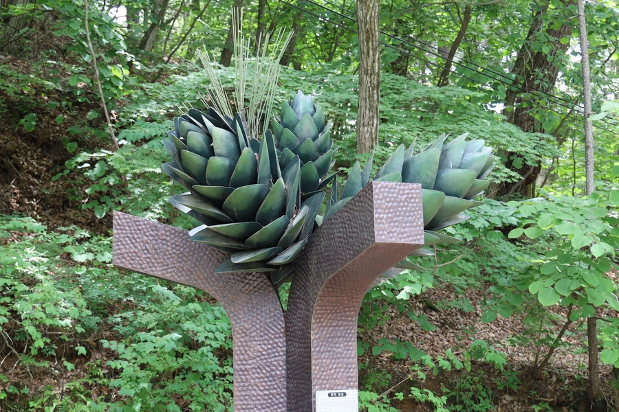 SE-54ec4ff3-c061-4857-91cb-9b9ffb848d90.jpg?type=w1