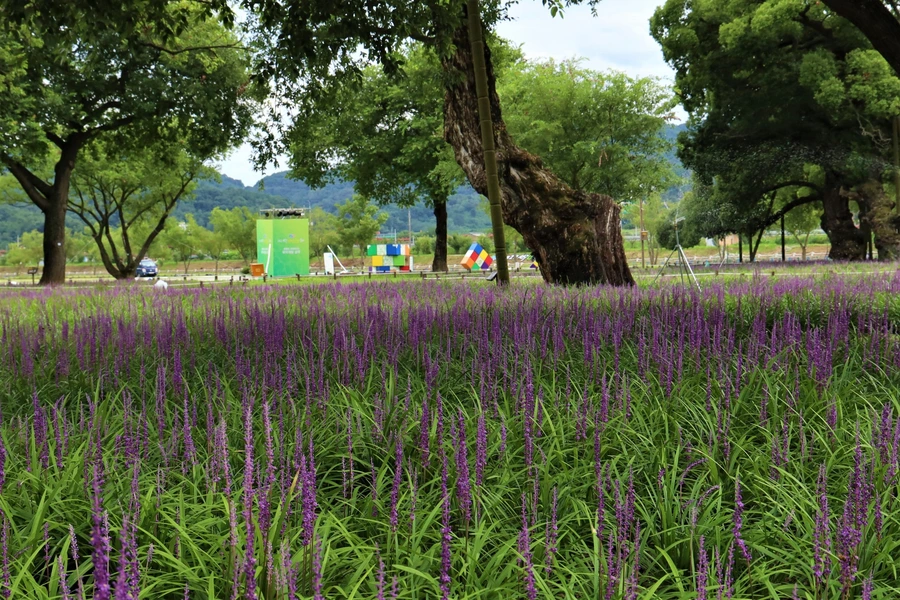 SE-dd222926-8105-482a-8ebb-c505752aa2ac.jpg?type=w1