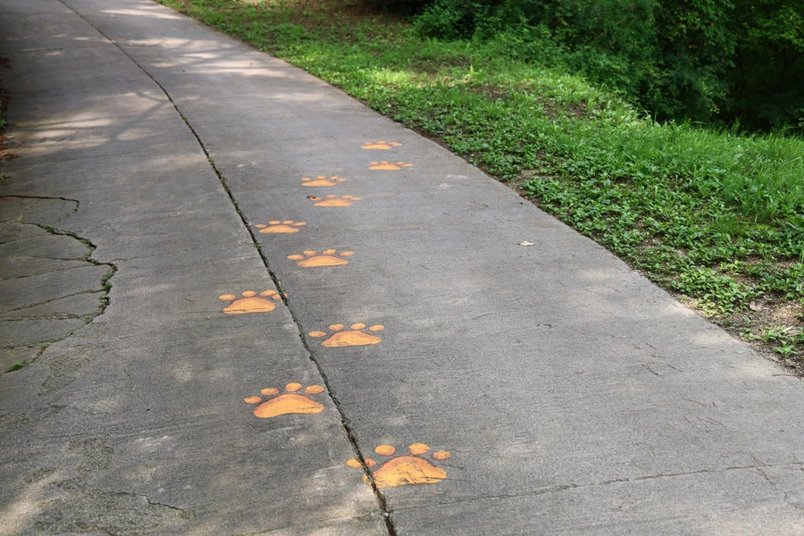 SE-4bb7c894-a907-4934-8de7-211055c6cad7.jpg?type=w1