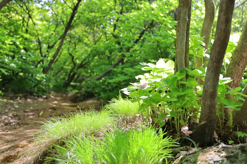 5%EC%9B%9410%EC%9D%BC_(48).JPG?type=w1