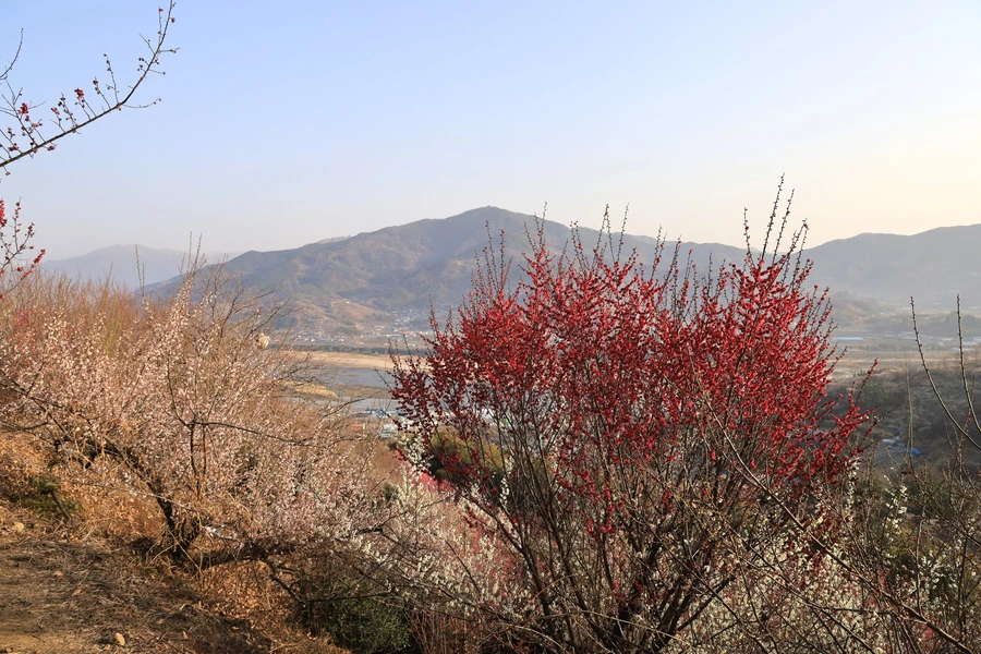 SE-0064f649-c9e6-41e5-84f0-56d80bda6e60.jpg?type=w1