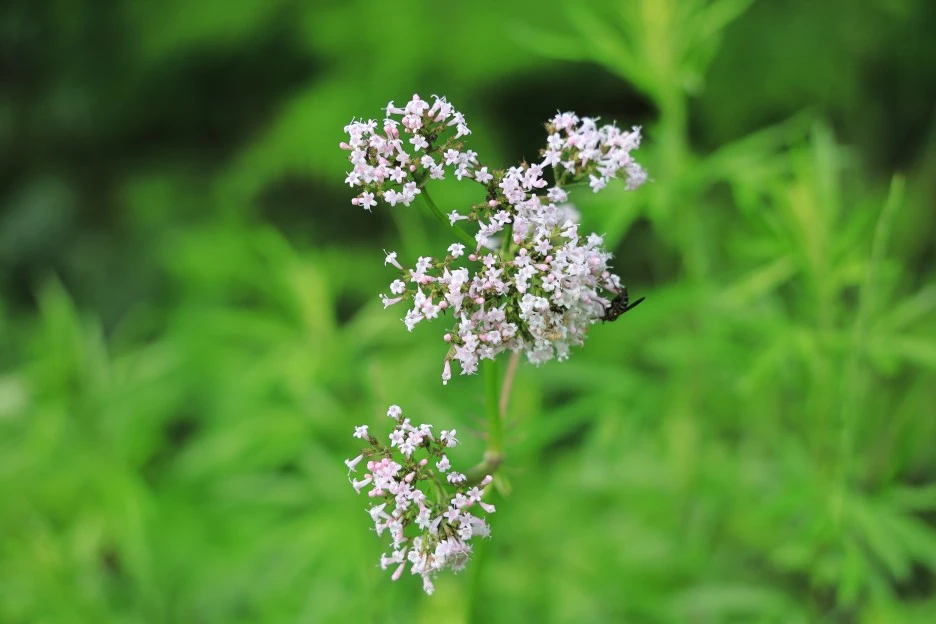 6%EC%9B%9414%EC%9D%BC_(56).JPG?type=w1