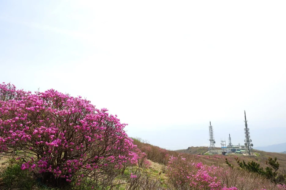 4%EC%9B%9428%EC%9D%BC_(67).JPG?type=w1