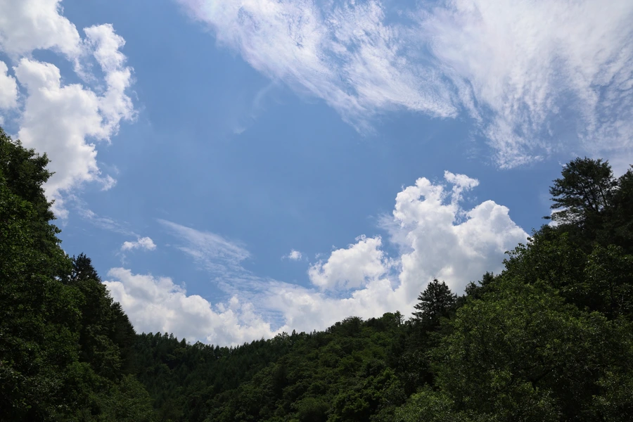 SE-8cfe9d16-f75c-4121-9821-b4abf83586e8.jpg?type=w1