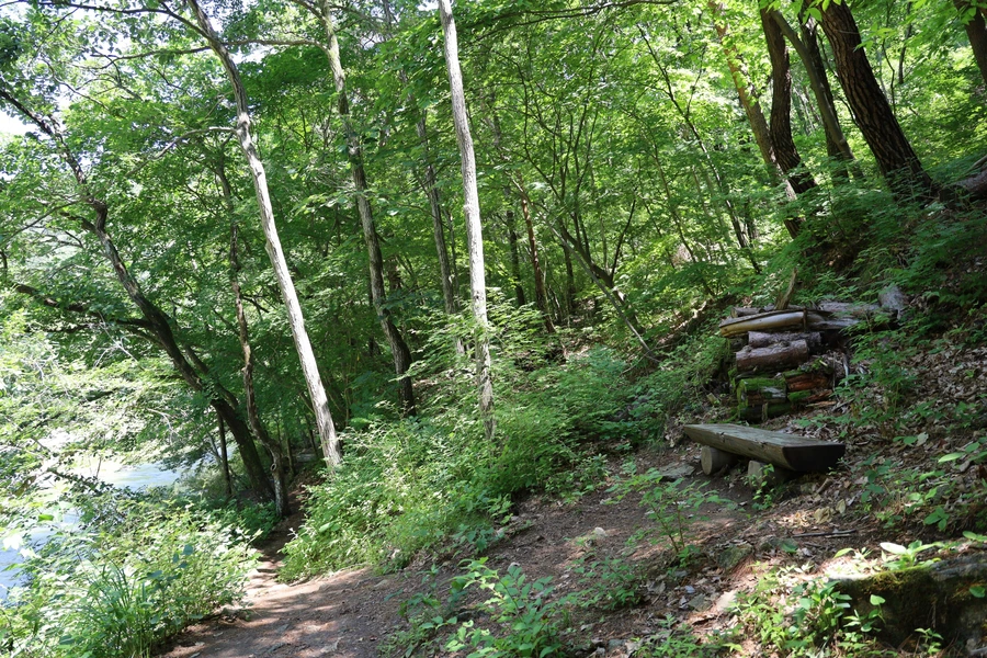 SE-8f45c193-ea05-4928-bebb-12bdd7f297e4.jpg?type=w1