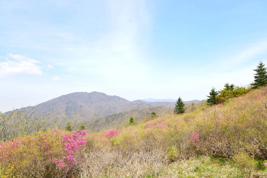 4%EC%9B%9428%EC%9D%BC_(36).JPG?type=w1