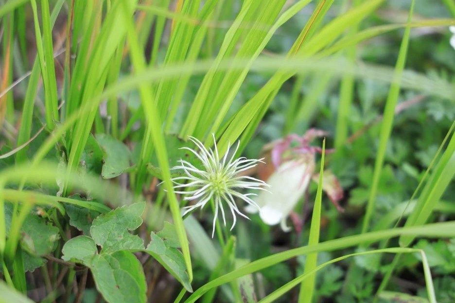 6%EC%9B%9428%EC%9D%BC_(336).JPG?type=w1