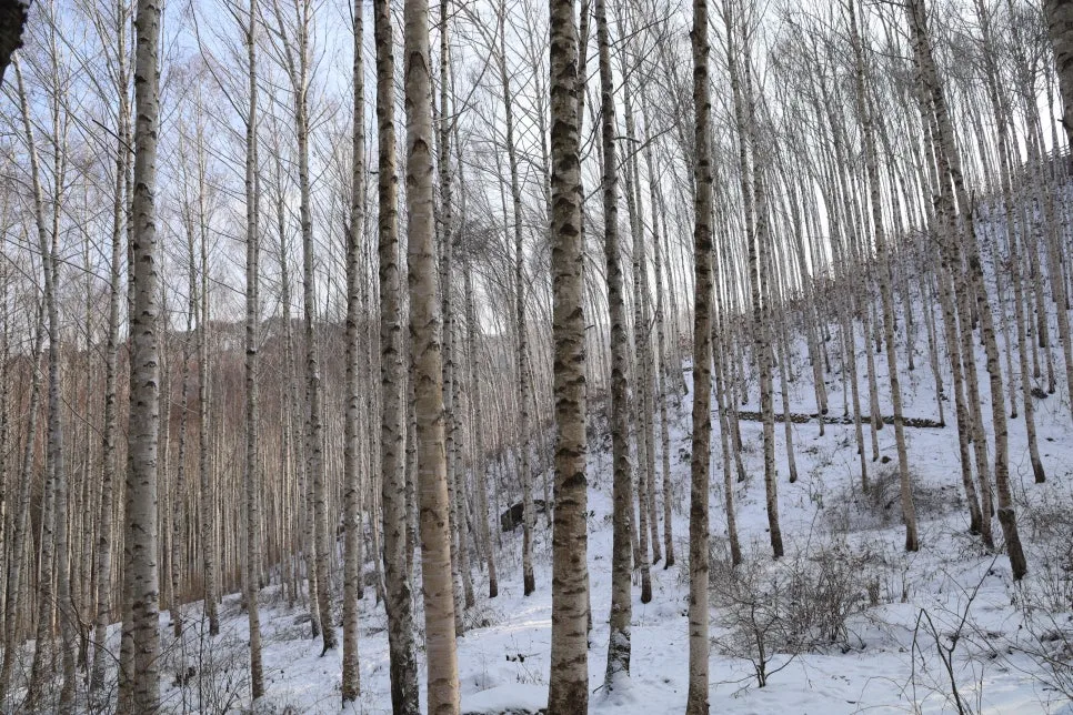 12%EC%9B%9426%EC%9D%BC_(15).JPG?type=w966