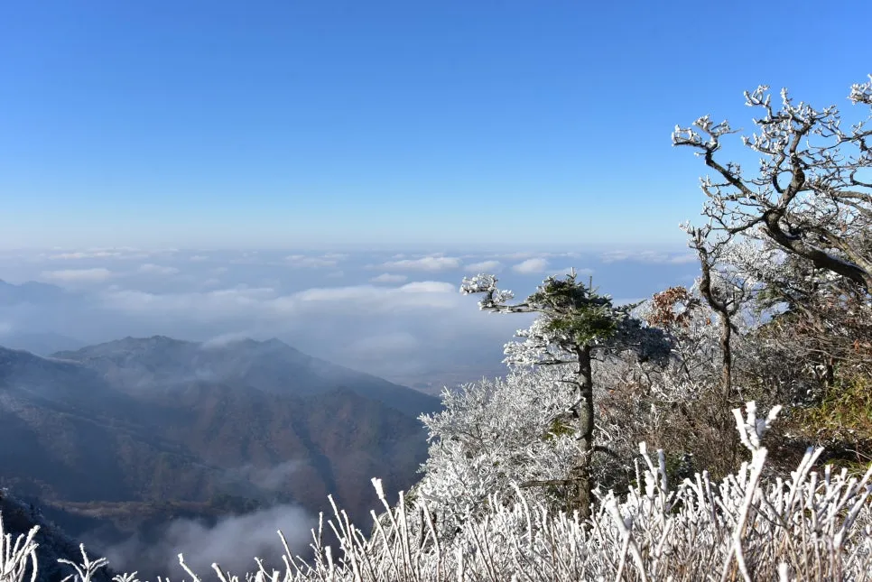 11%EC%9B%9426%EC%9D%BC_(39).JPG?type=w966