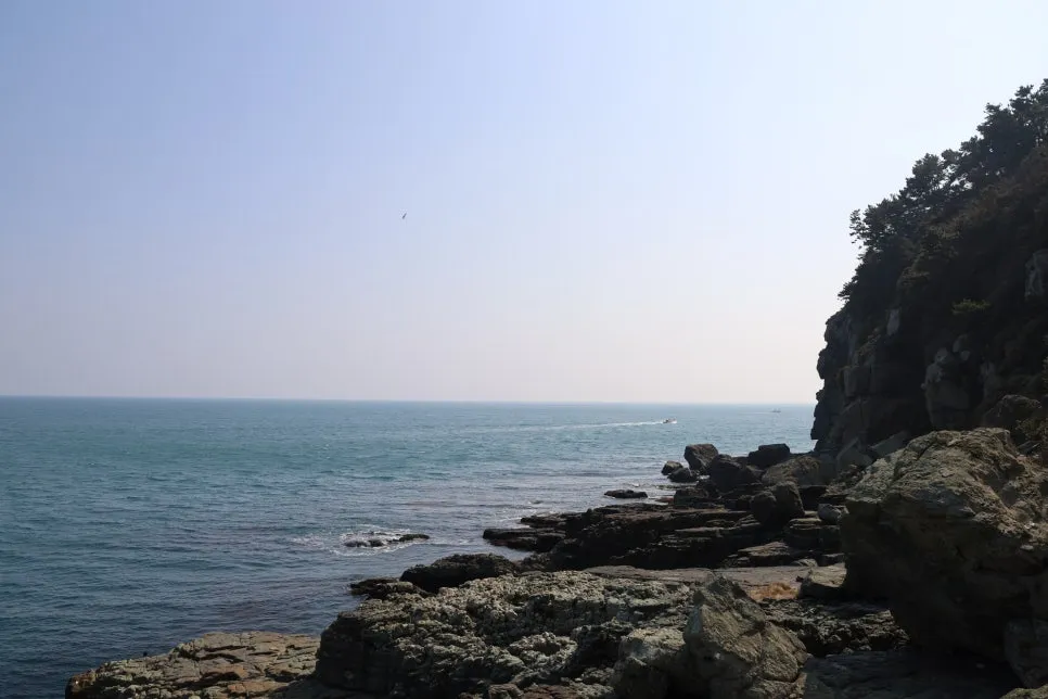 2%EC%9B%9426%EC%9D%BC_(48).JPG?type=w966