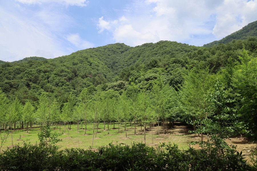 SE-0cbb57ef-b030-42f2-87a1-b02d8df105c7.jpg?type=w1