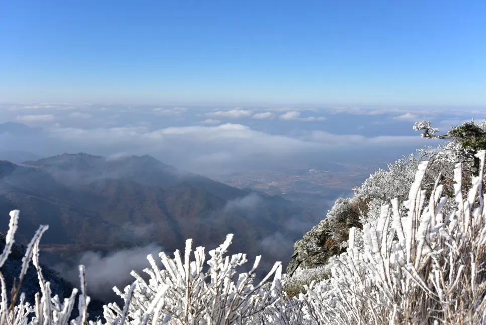 11%EC%9B%9426%EC%9D%BC_(43).JPG?type=w966