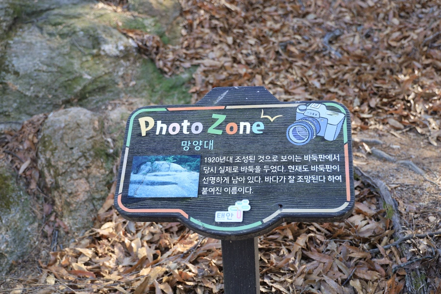 SE-4958cb84-5666-4325-9904-d4ed9813a6b3.jpg?type=w1