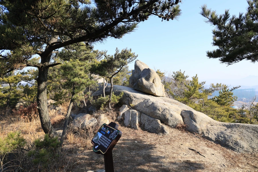 SE-54ca90ee-034c-4aeb-9db8-4fb07986c858.jpg?type=w1