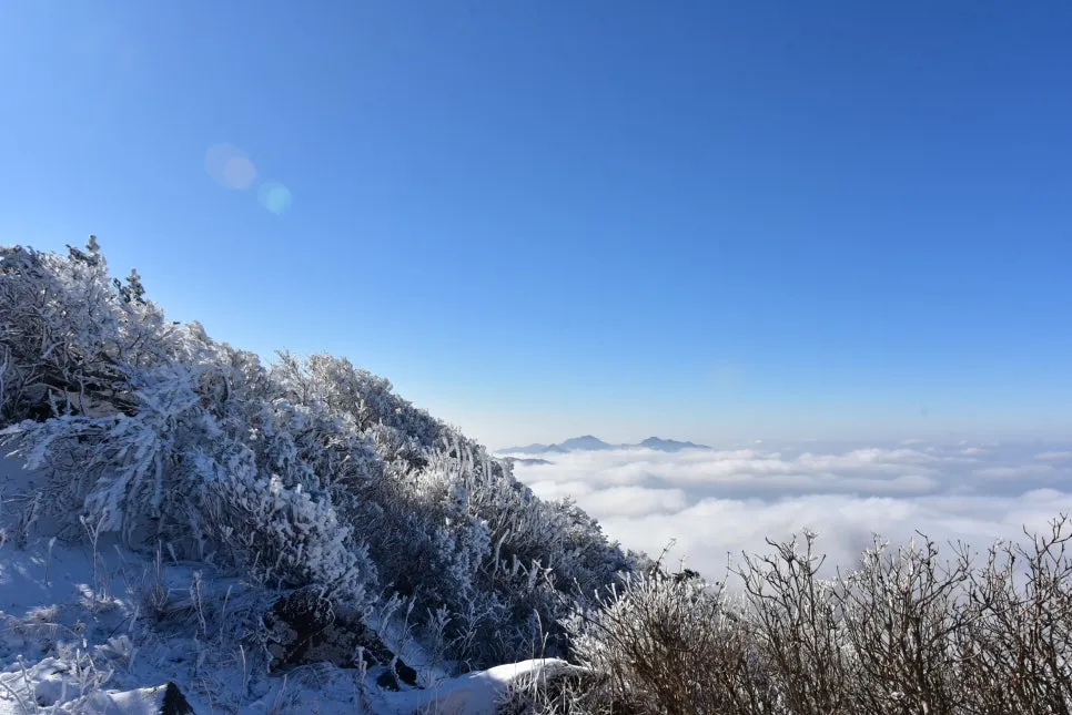 11%EC%9B%9426%EC%9D%BC_(135).JPG?type=w966