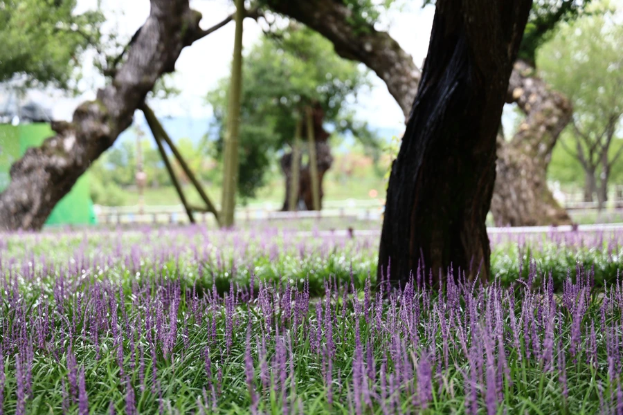 SE-96375cee-3bf2-49e7-9df4-cb60b7ba1897.jpg?type=w1