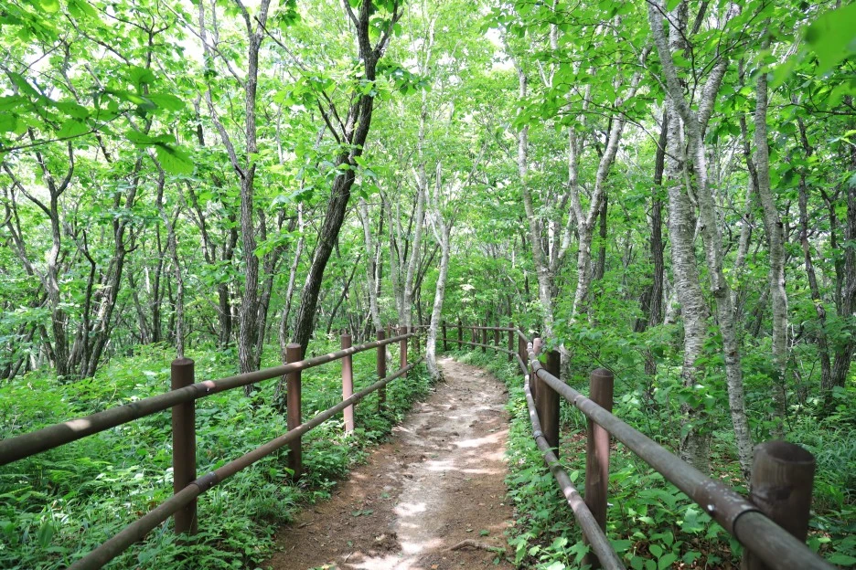 6%EC%9B%9428%EC%9D%BC_(141).JPG?type=w1