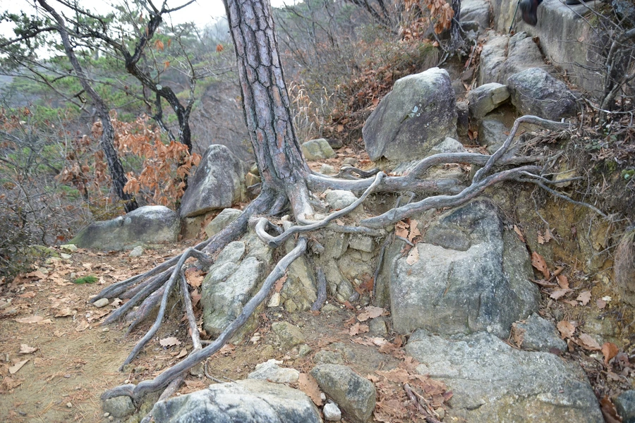 SE-a7c55e39-28e9-45e8-960f-fcfbd85f83be.jpg?type=w1