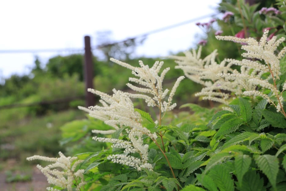 6%EC%9B%9414%EC%9D%BC_(232).JPG?type=w1