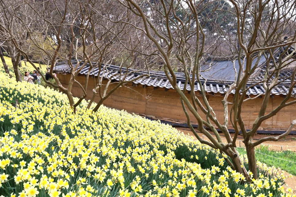 4%EC%9B%945%EC%9D%BC_(86).JPG?type=w966