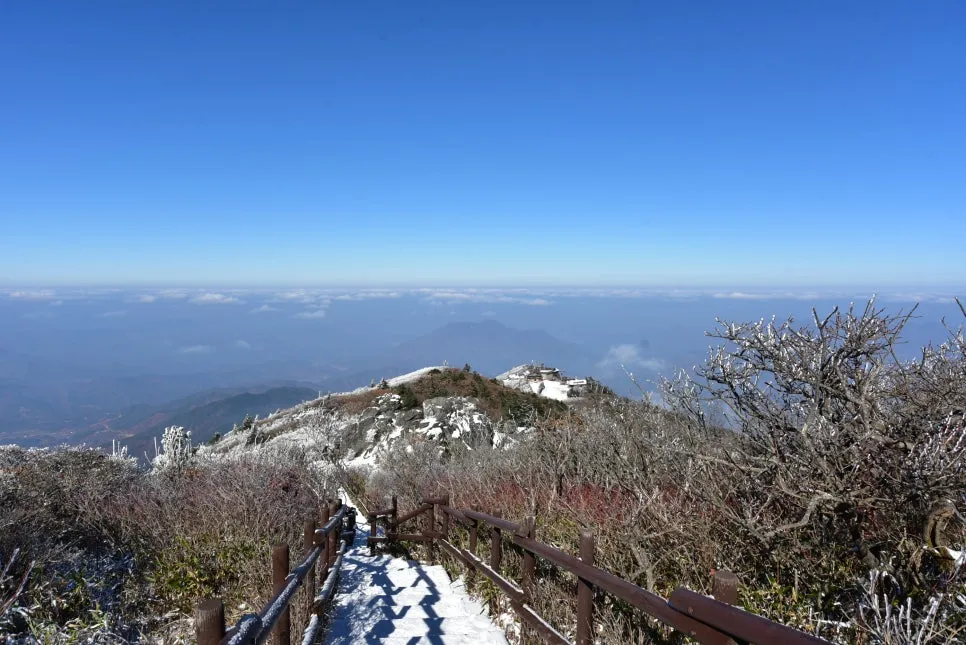 11%EC%9B%9426%EC%9D%BC_(189).JPG?type=w966