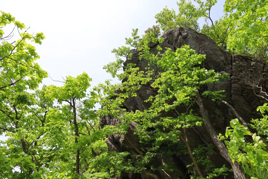 5%EC%9B%9410%EC%9D%BC_(135).JPG?type=w1