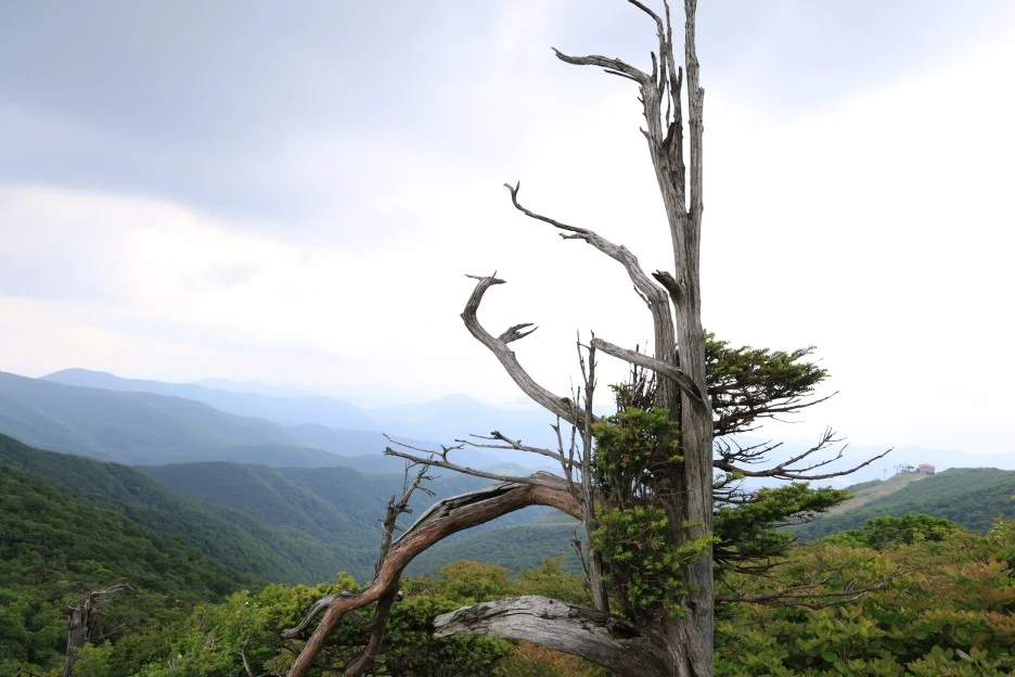 6%EC%9B%9414%EC%9D%BC_(241).JPG?type=w1