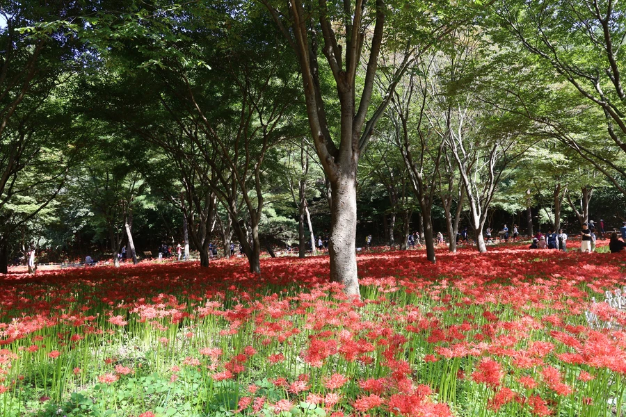 SE-62b63752-887a-4aea-a2d6-510f6916c7b8.jpg?type=w1