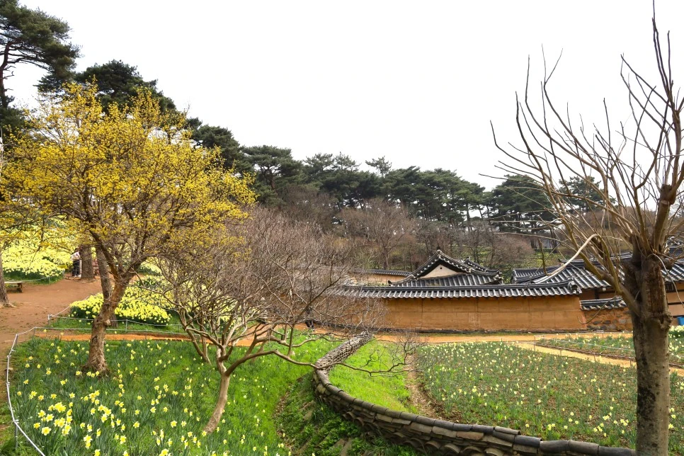 4%EC%9B%945%EC%9D%BC_(82).JPG?type=w966