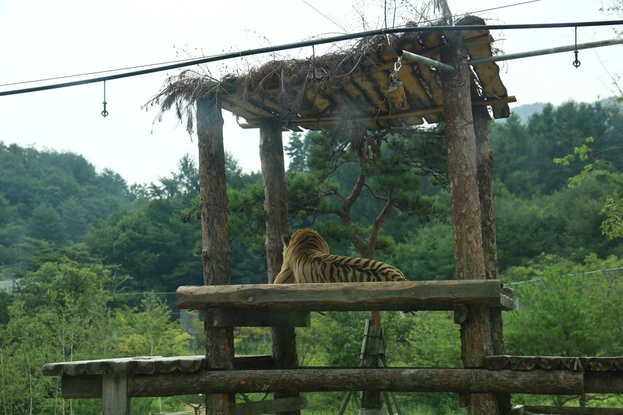 SE-4397d604-2309-4b25-8423-7e916099a8f8.jpg?type=w1