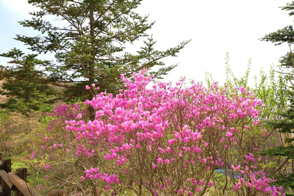 4%EC%9B%9428%EC%9D%BC_(163).JPG?type=w1