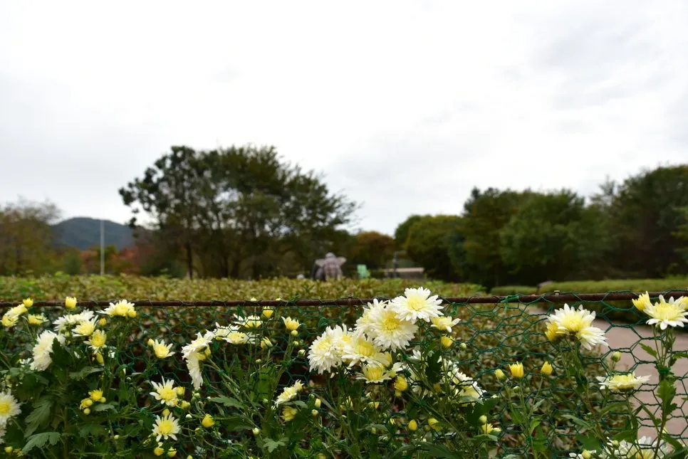 10%EC%9B%9414%EC%9D%BC_(11).JPG?type=w966