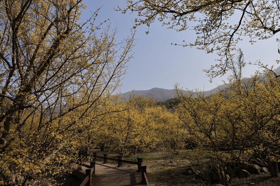 SE-22349177-bf59-4b68-9bc5-65783b8b913a.jpg?type=w1