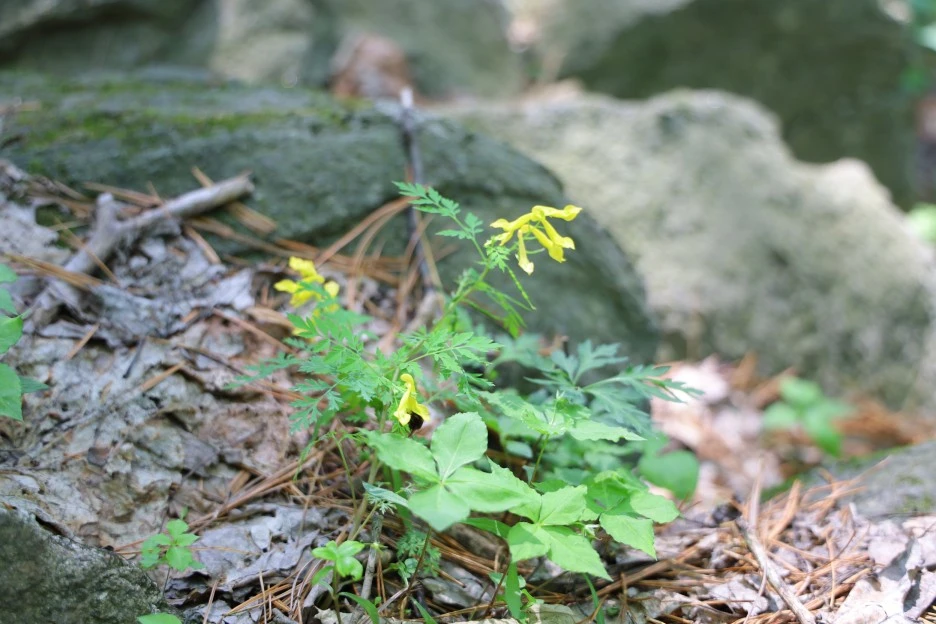 5%EC%9B%9410%EC%9D%BC_(189).JPG?type=w1