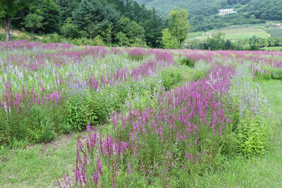 SE-94ab4ca2-9c08-4123-ad97-970f6bbc4a71.jpg?type=w1