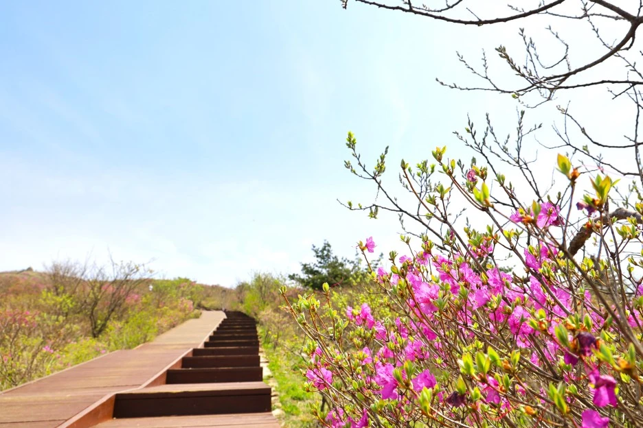 4%EC%9B%9428%EC%9D%BC_(35).JPG?type=w1