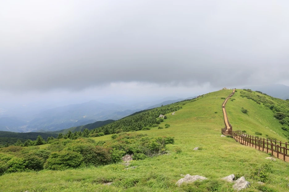 6%EC%9B%9428%EC%9D%BC_(257).JPG?type=w1