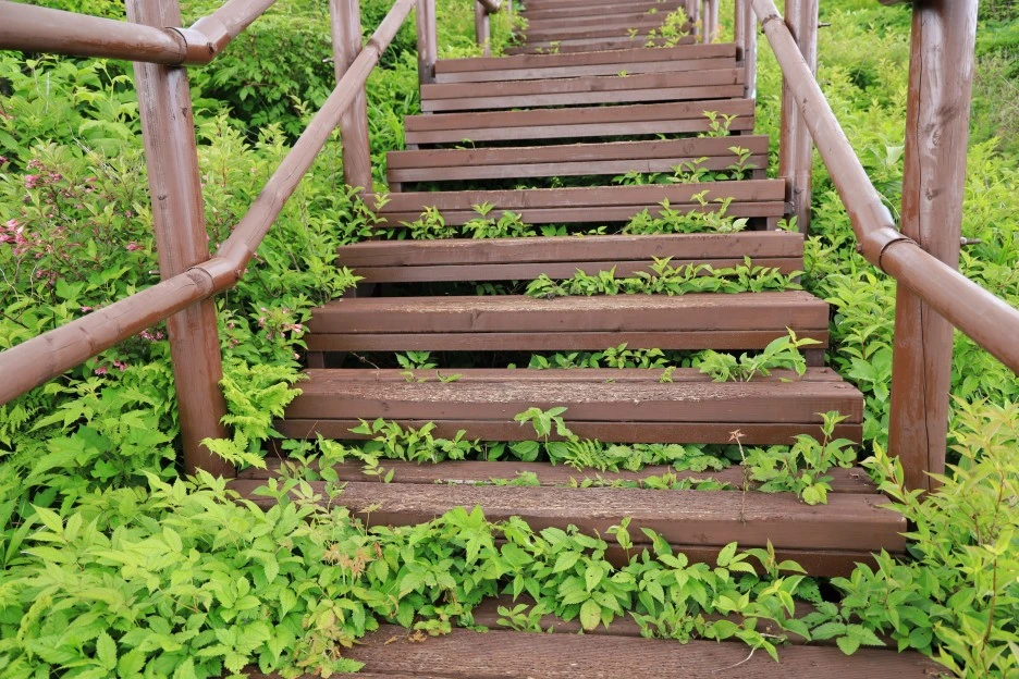 6%EC%9B%9414%EC%9D%BC_(248).JPG?type=w1