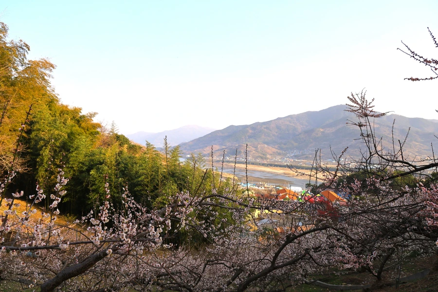 SE-b2e2319e-b008-420b-adef-b304cd672b77.jpg?type=w1