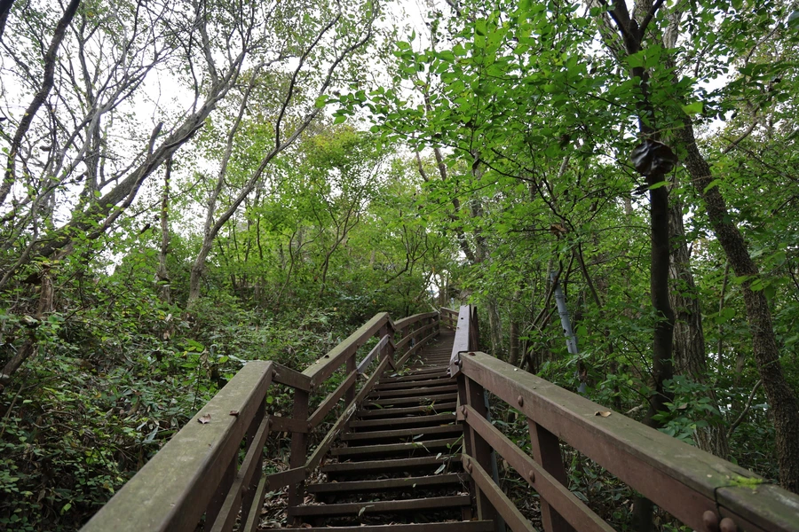 SE-6a315149-9da3-47fb-9b45-c2dac7b17c3f.jpg?type=w1