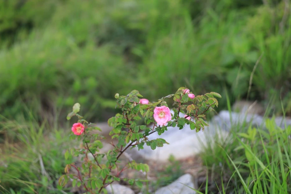 6%EC%9B%9414%EC%9D%BC_(144).JPG?type=w1