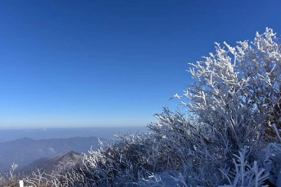 11%EC%9B%9426%EC%9D%BC_(200).JPG?type=w966