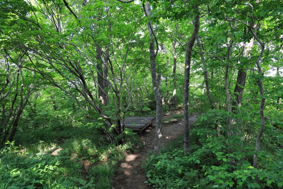 6%EC%9B%9414%EC%9D%BC_(21).JPG?type=w1